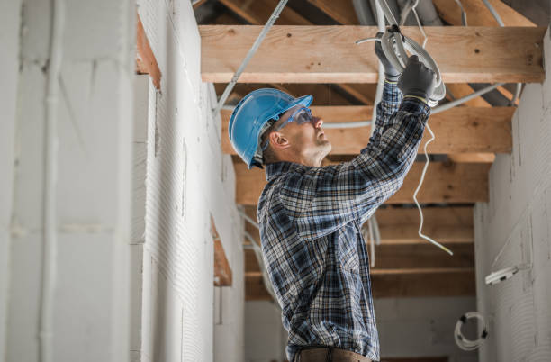 Best Electric Panel Repair  in Germantown Hls, IL