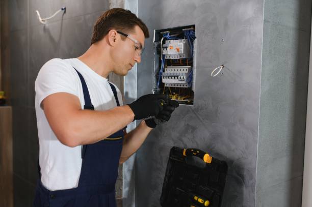 Best Electrical Repair Services  in Germantown Hls, IL